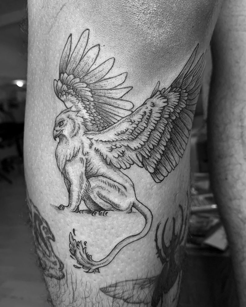 30 Pretty Griffin Tattoos Improve Your Temperament