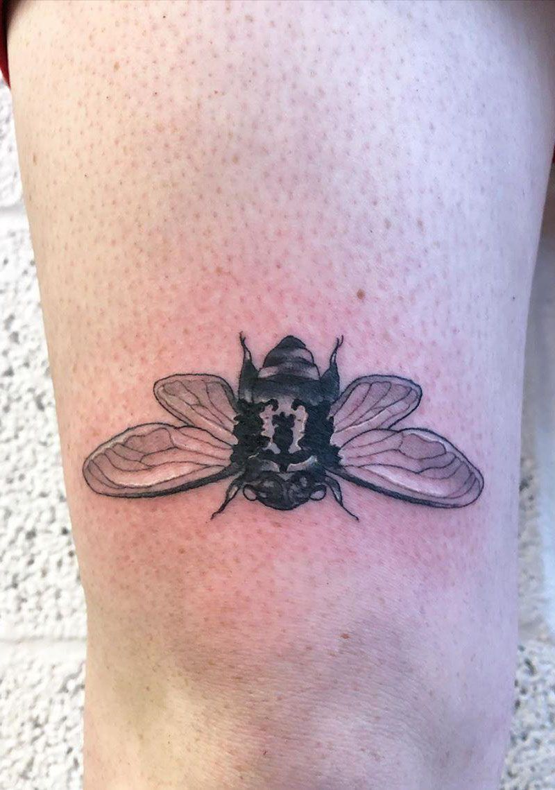 30 Pretty Cicada Tattoos Make You Attractive