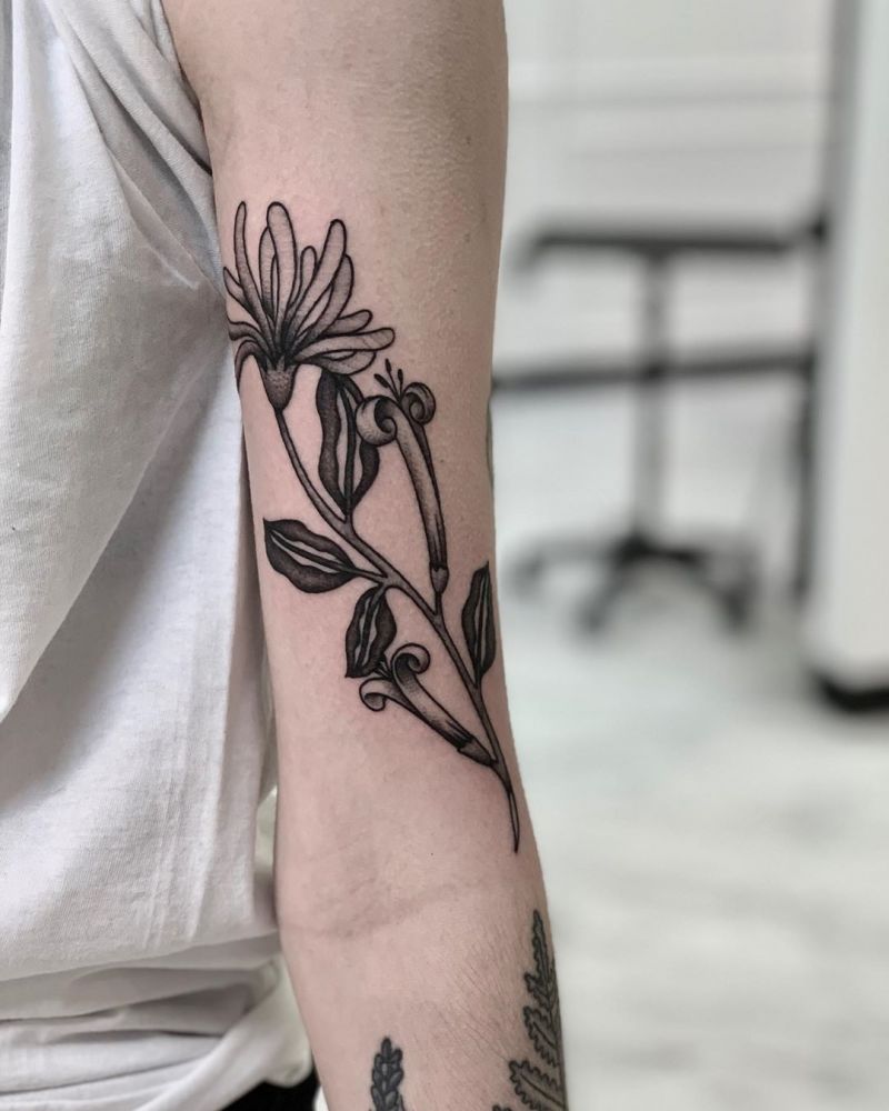 30 Pretty Honeysuckle Tattoos Make You Very Attractive