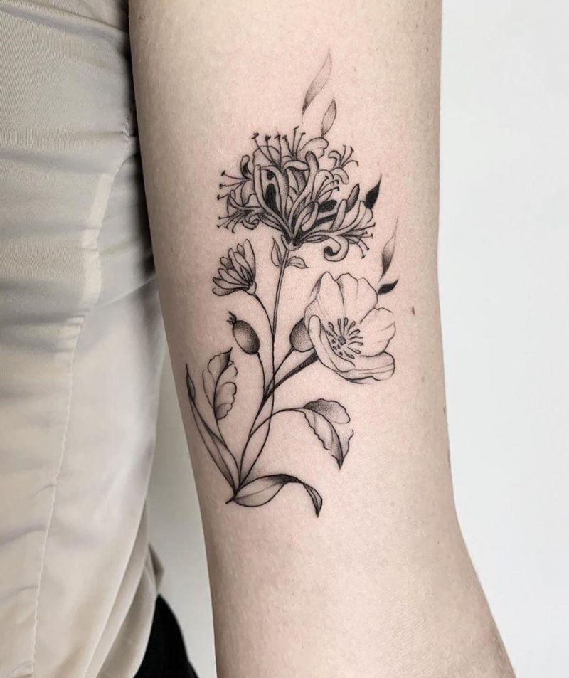 30 Pretty Honeysuckle Tattoos Make You Very Attractive