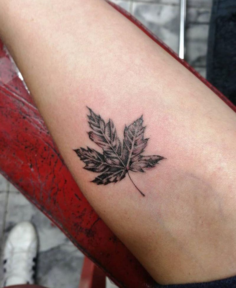 30 Elegant Maple Leaf Tattoos for Your Inspiration