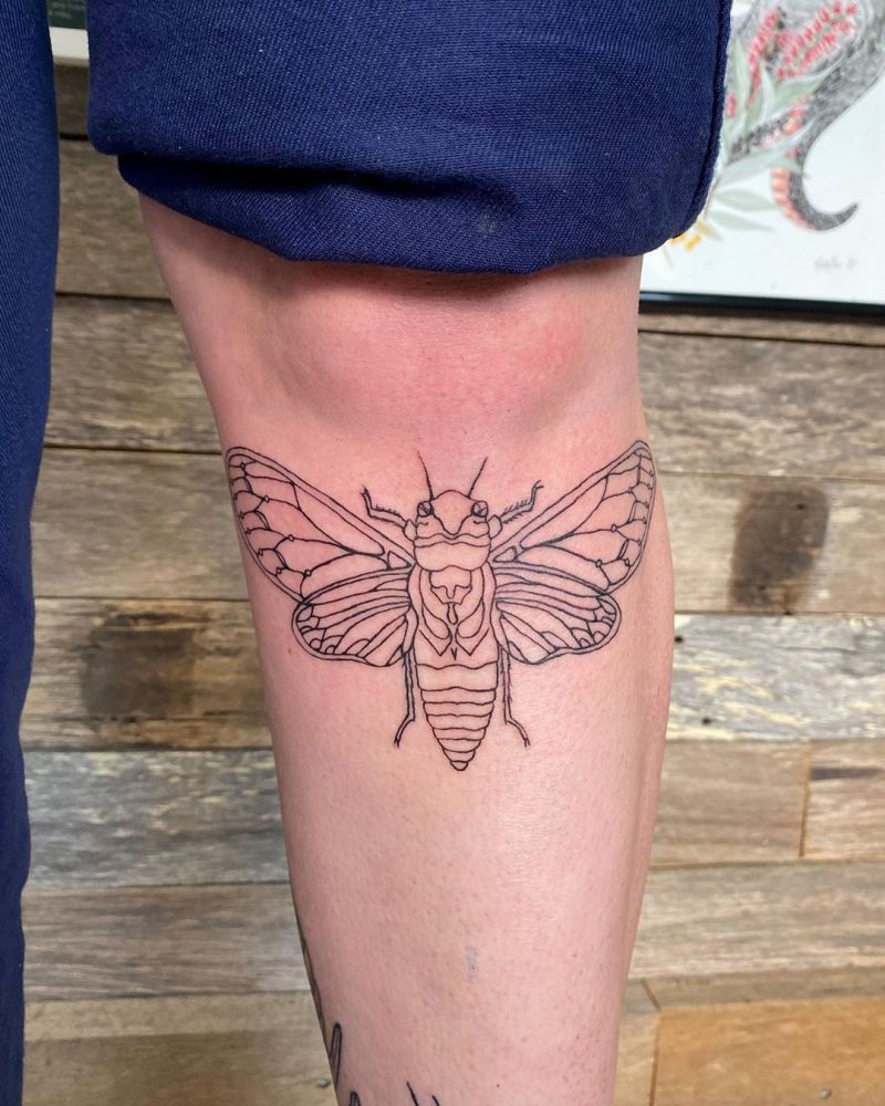 30 Pretty Cicada Tattoos Make You Attractive