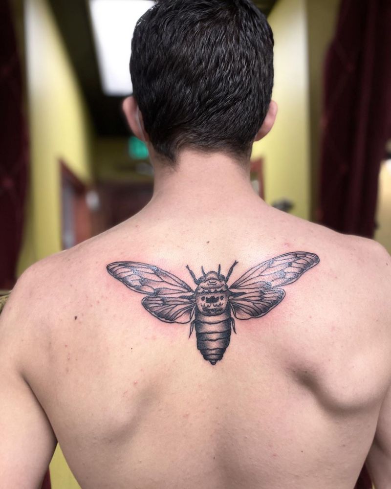 30 Pretty Cicada Tattoos Make You Attractive