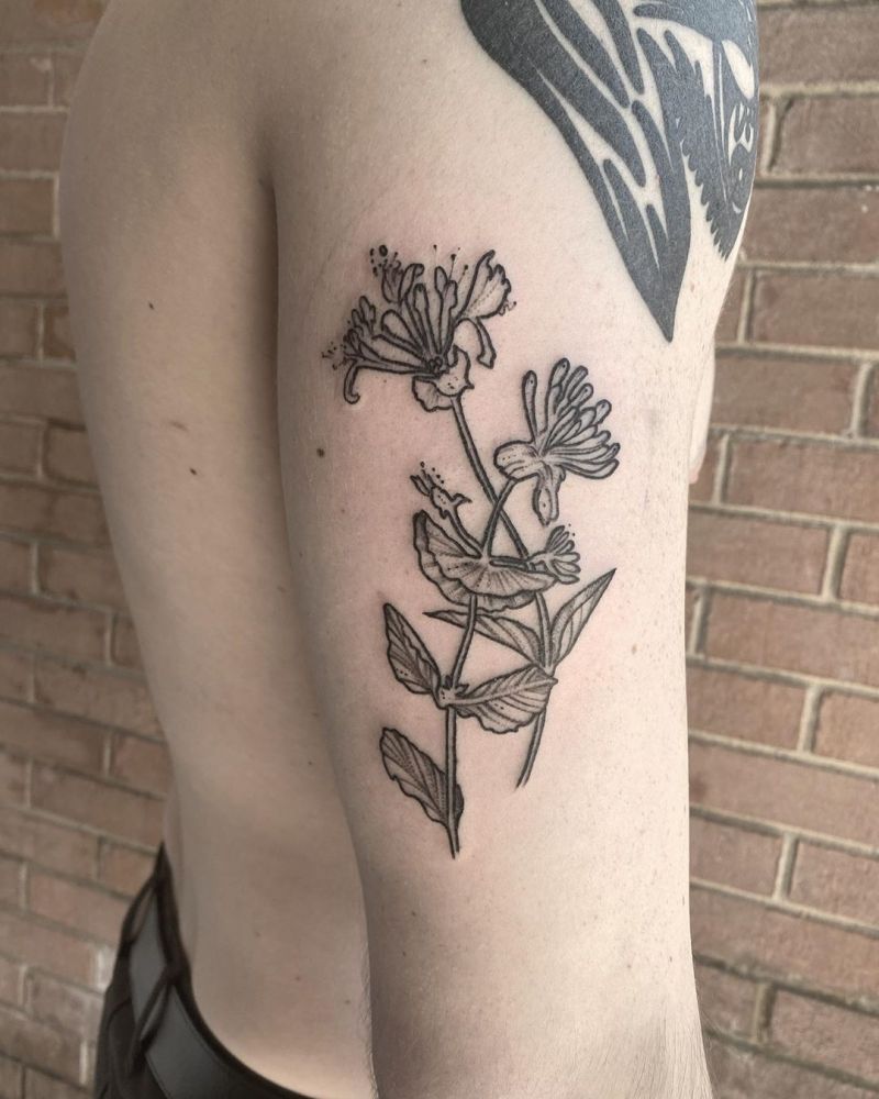 30 Pretty Honeysuckle Tattoos Make You Very Attractive