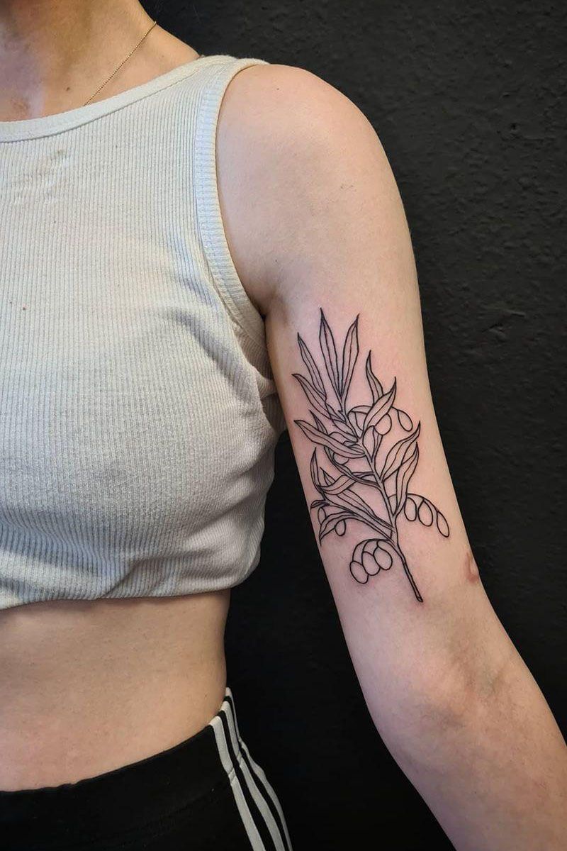 30 Pretty Olive Branch Tattoos You Will Love