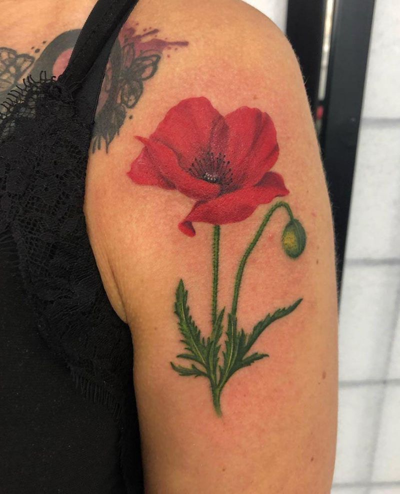 30 Pretty Poppy Tattoos to Inspire You