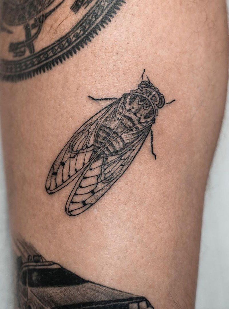 30 Pretty Cicada Tattoos Make You Attractive