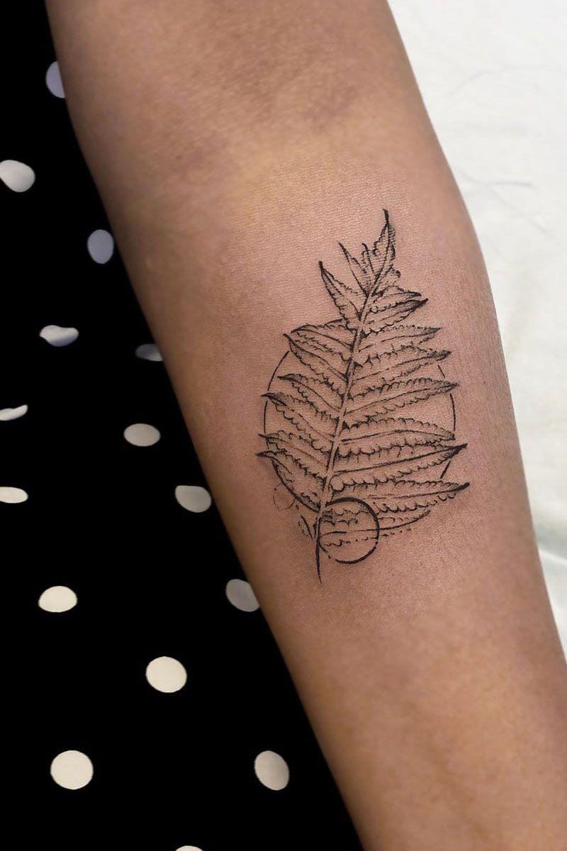 30 Pretty Fern Tattoos Improve Your Temperament