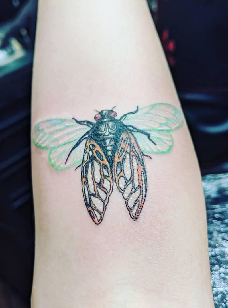 30 Pretty Cicada Tattoos Make You Attractive