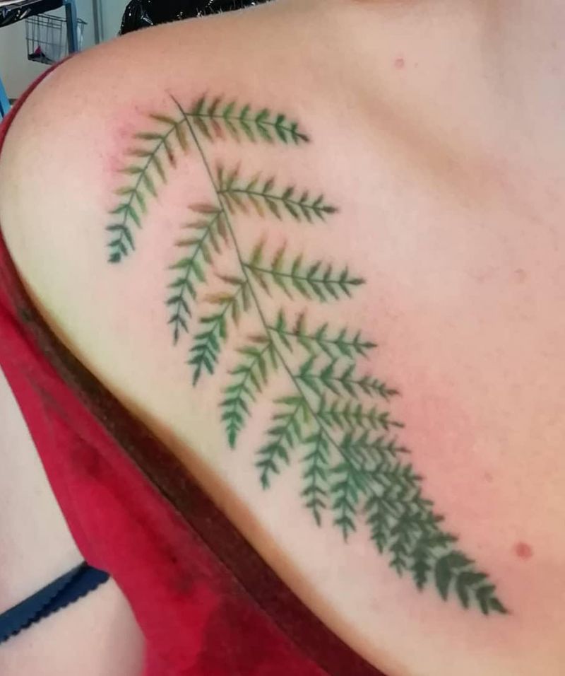 30 Pretty Fern Tattoos Improve Your Temperament