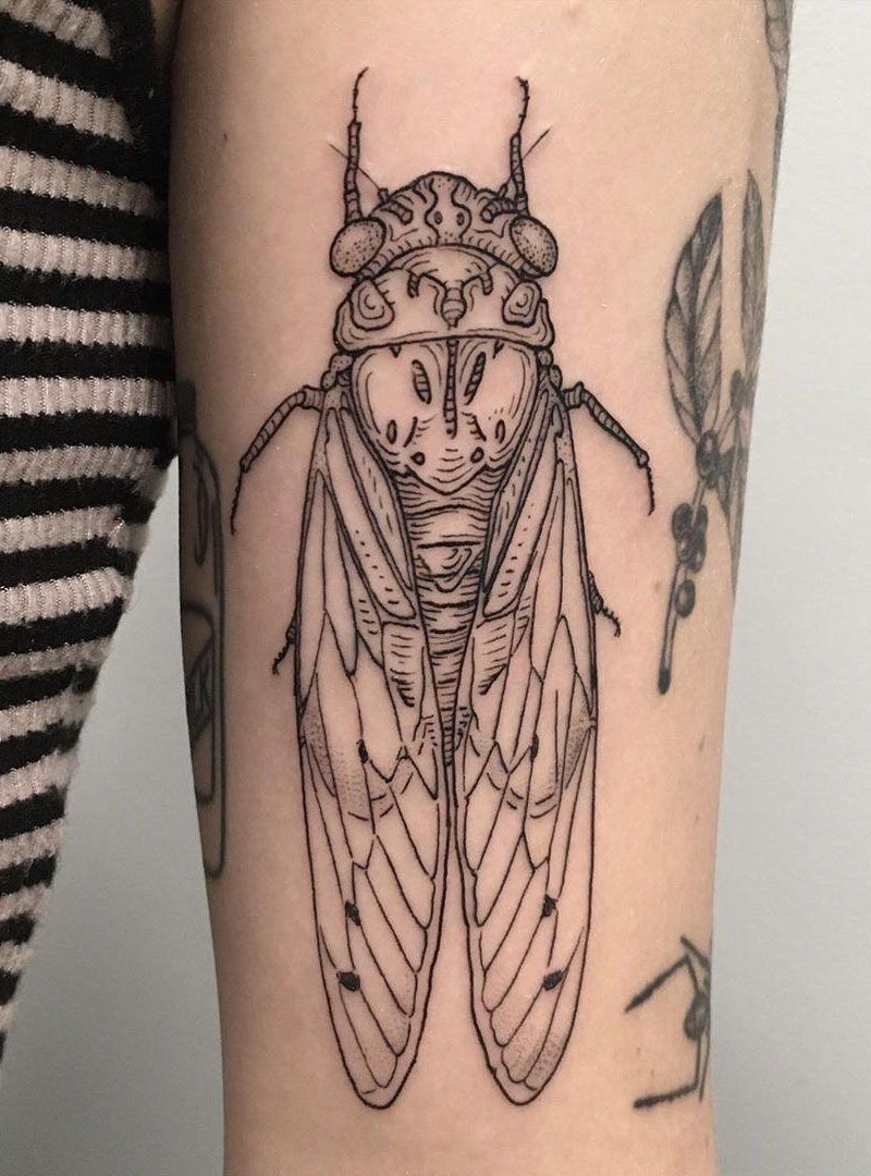 30 Pretty Cicada Tattoos Make You Attractive