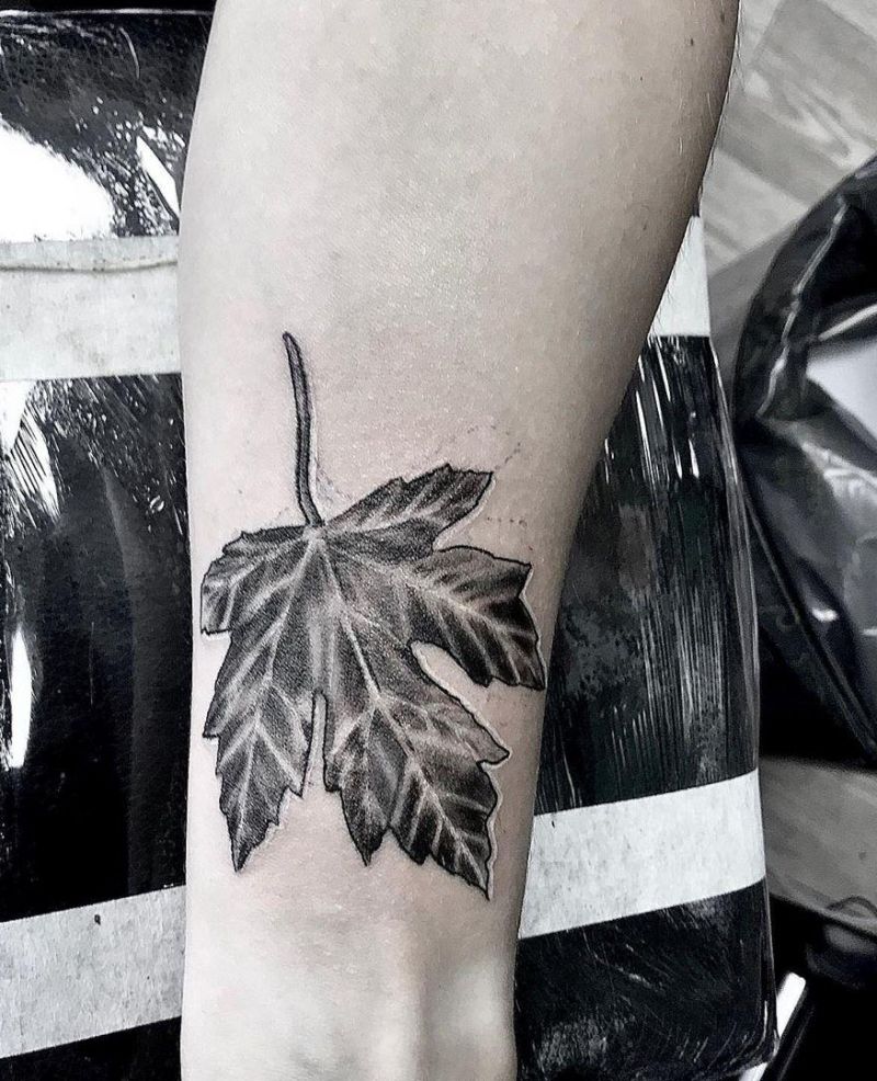 30 Elegant Maple Leaf Tattoos for Your Inspiration