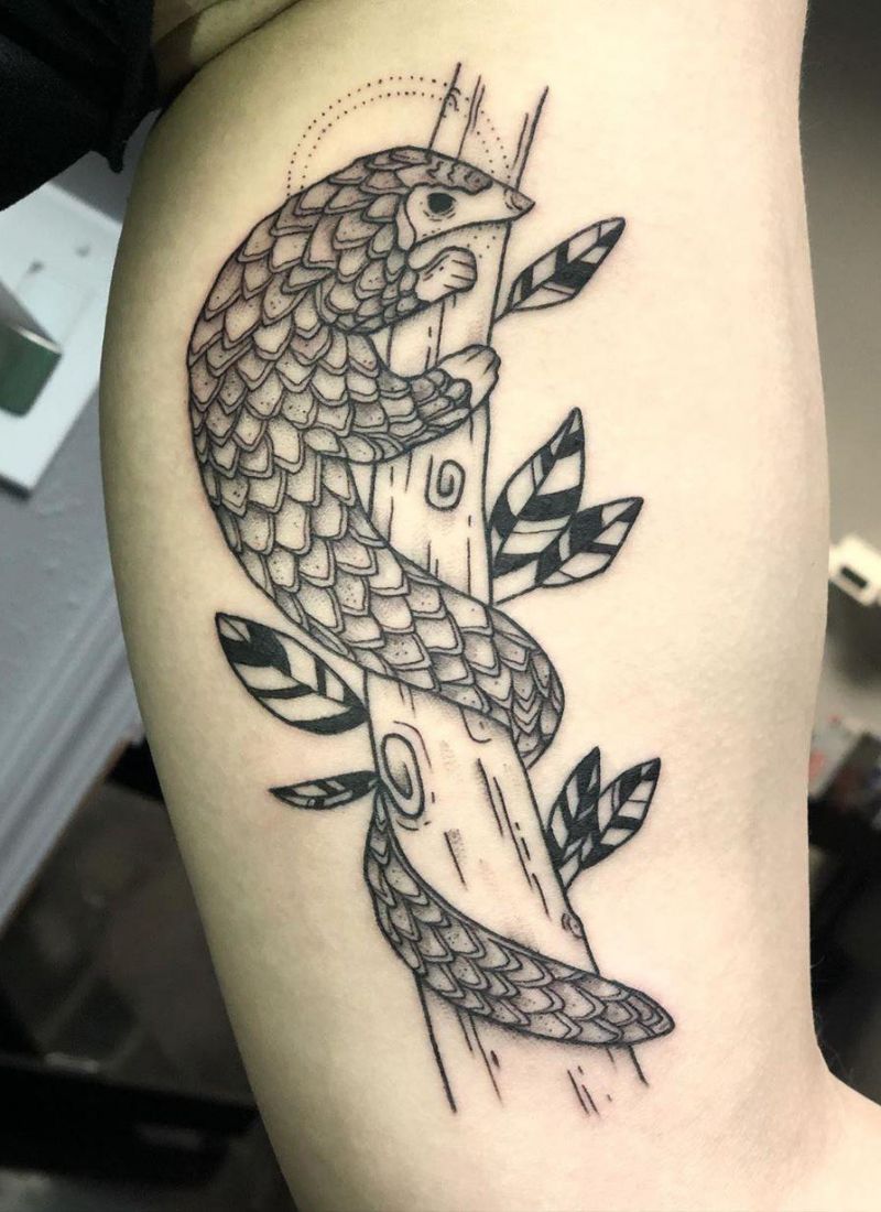 30 Pretty Pangolin Tattoos to Inspire You