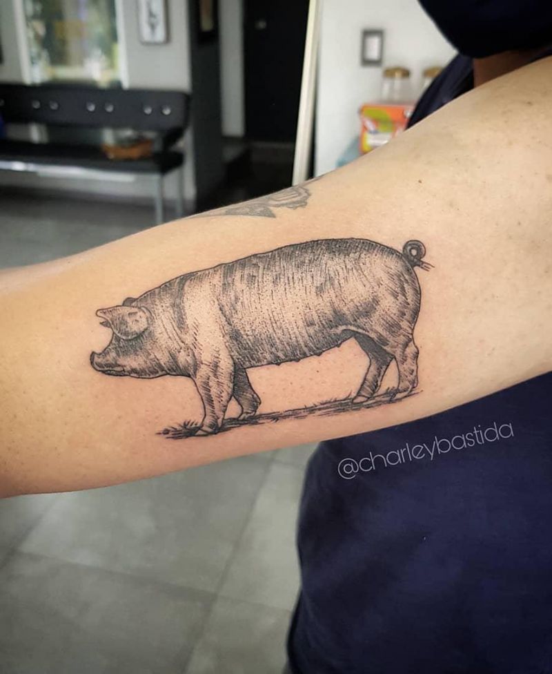 30 Cute Pig Tattoos You Will Love