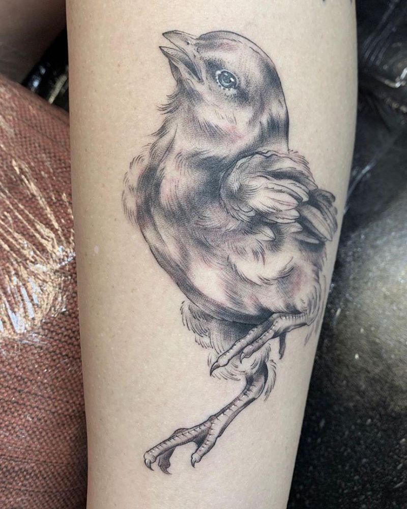 30 Cute Chicken Tattoos to Inspire You