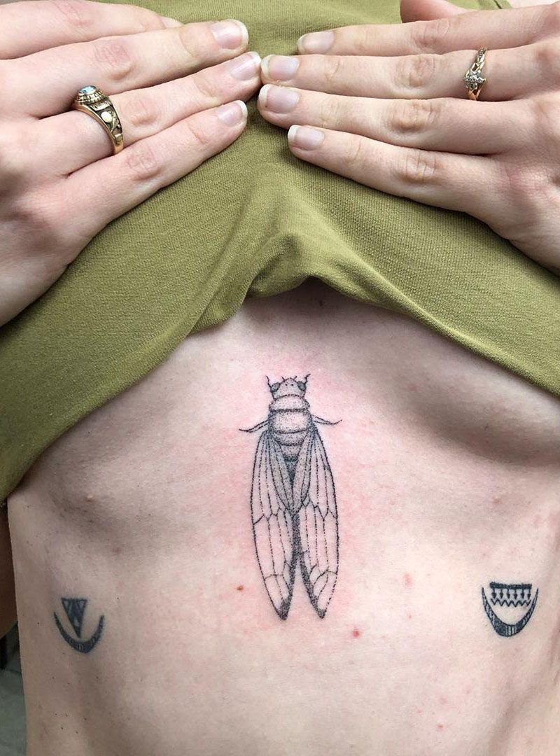 30 Pretty Cicada Tattoos Make You Attractive