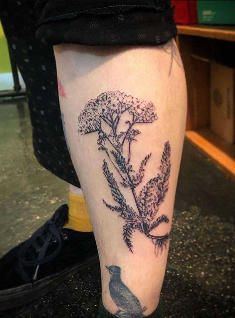 30 Pretty Yarrow Tattoos You Will Love