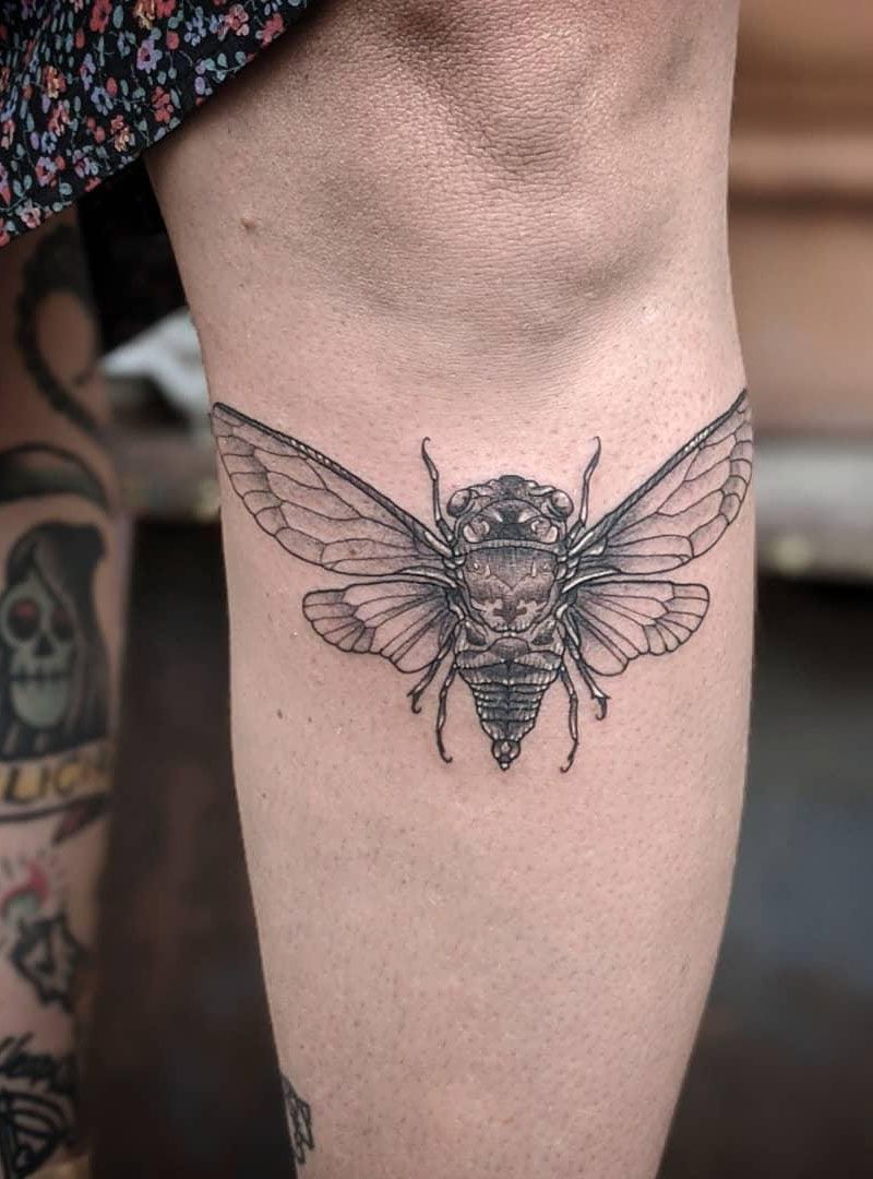 30 Pretty Cicada Tattoos Make You Attractive