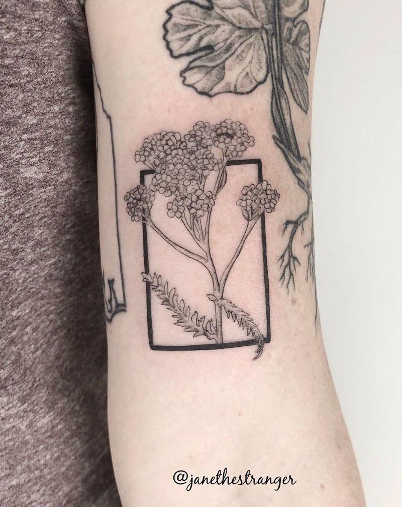 30 Pretty Yarrow Tattoos You Will Love