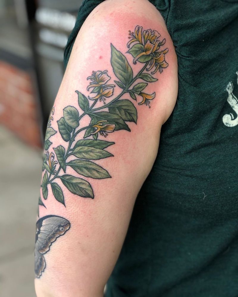 30 Pretty Honeysuckle Tattoos Make You Very Attractive