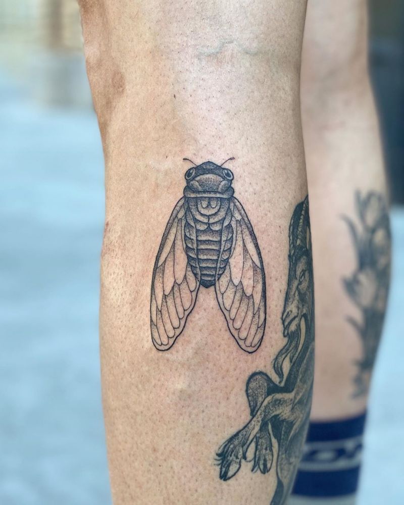 30 Pretty Cicada Tattoos Make You Attractive