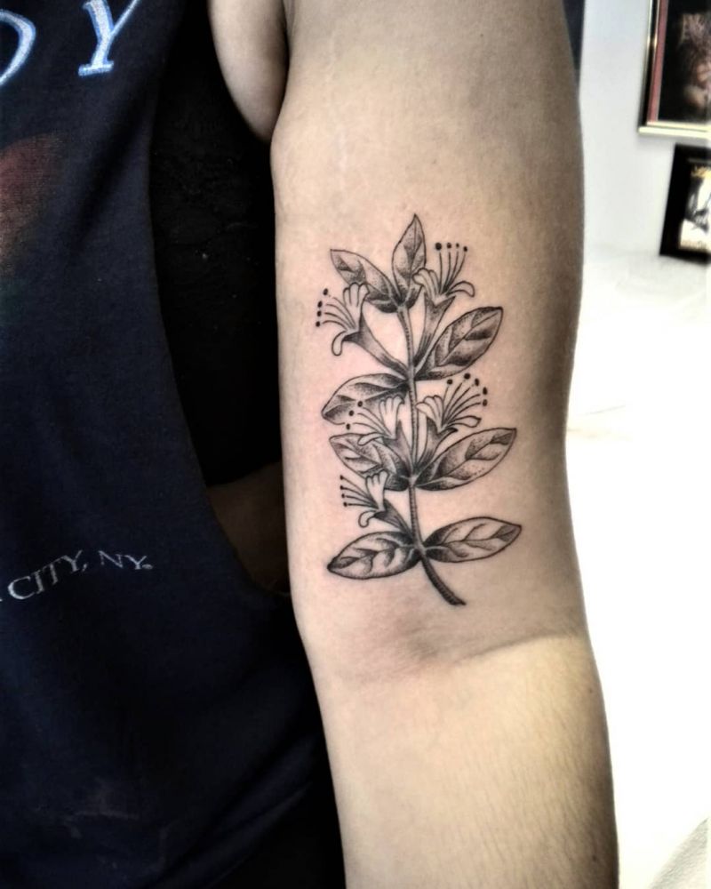 30 Pretty Honeysuckle Tattoos Make You Very Attractive