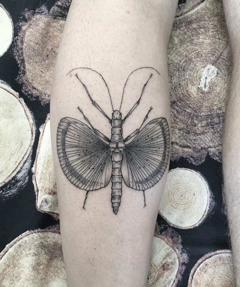 30 Pretty Grasshopper Tattoos You Must Try