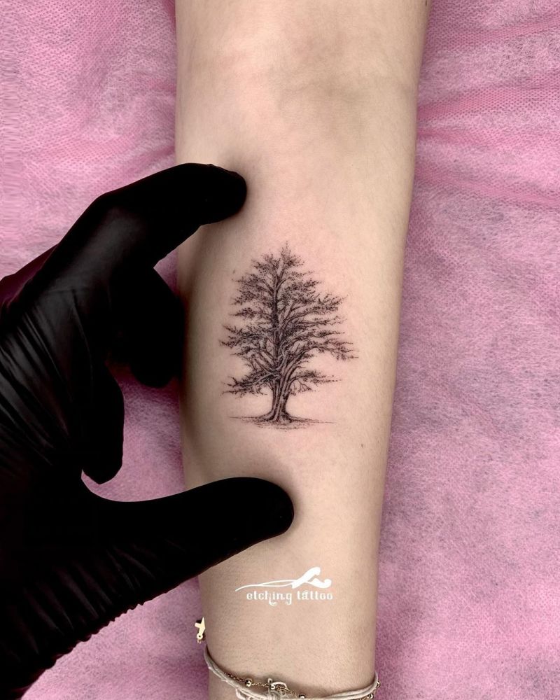 30 Pretty Cedar Tattoos You Will Love