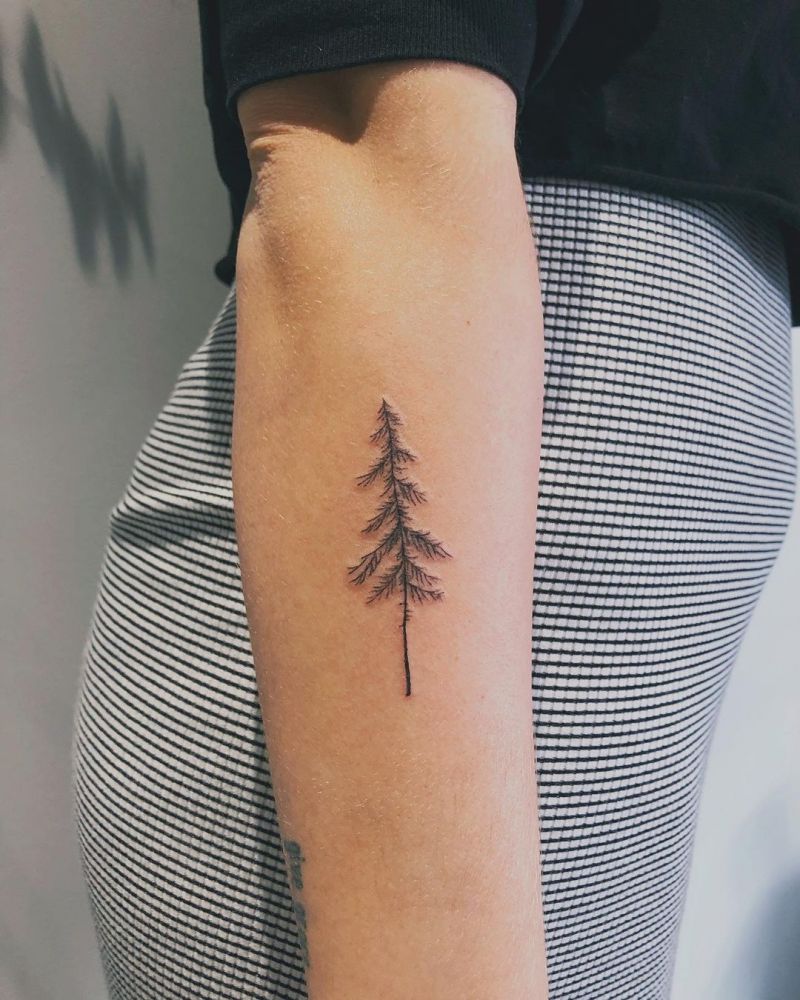 30 Pretty Fir Tree Tattoos You Will Love