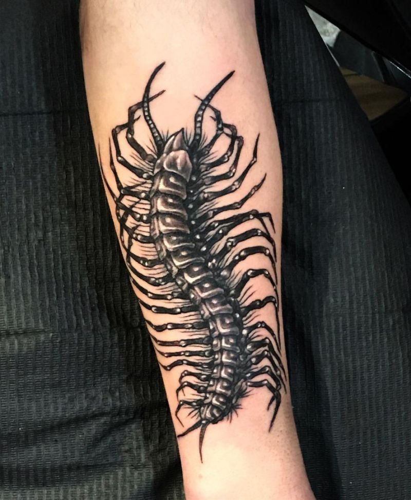 30 Pretty Insect Tattoos That Make You More Attractive