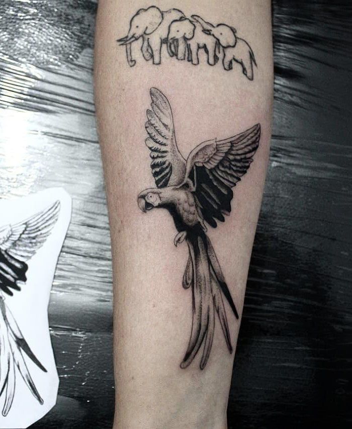 30 Pretty Macaw Tattoos Bring You Happiness