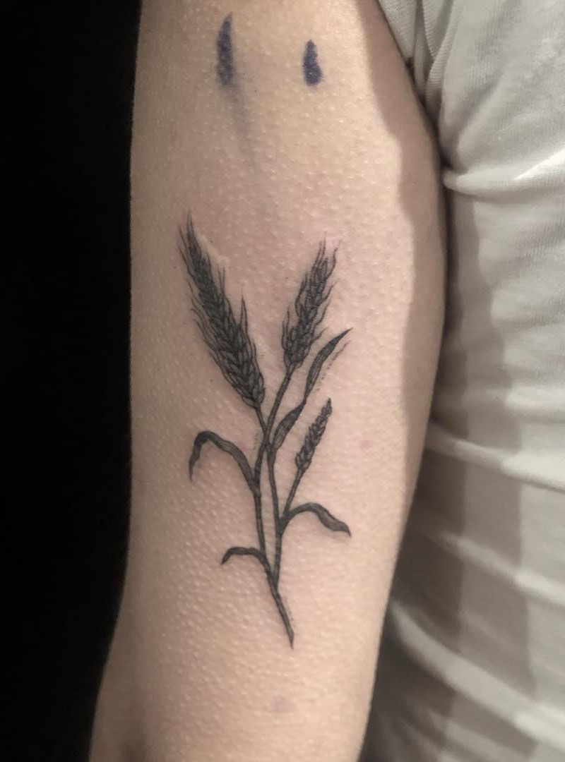 30 Pretty Barley Tattoos to Inspire You