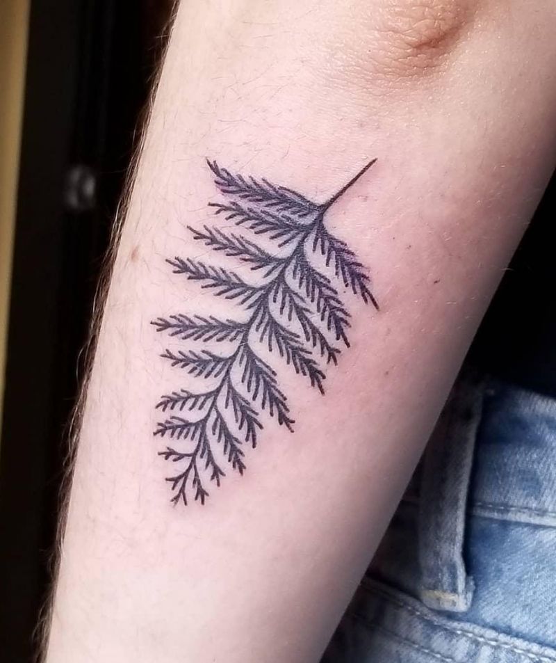 30 Pretty Cedar Tattoos You Will Love