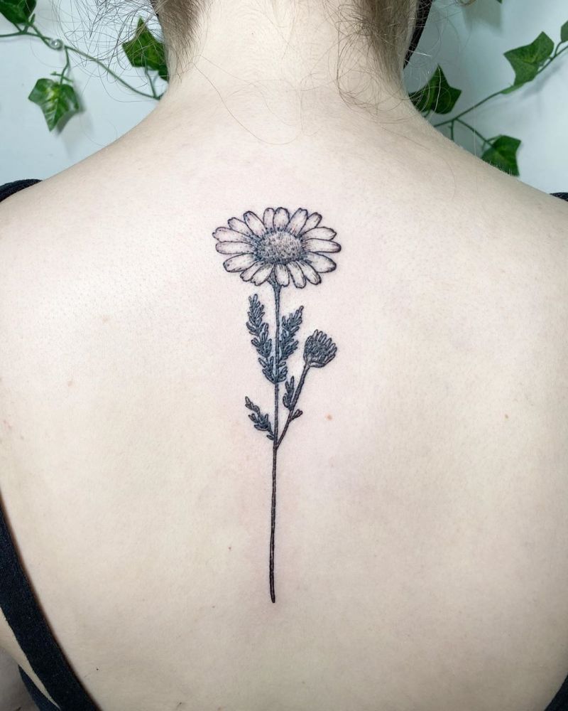 30 Pretty Chamomile Tattoos You Shouldn't Miss