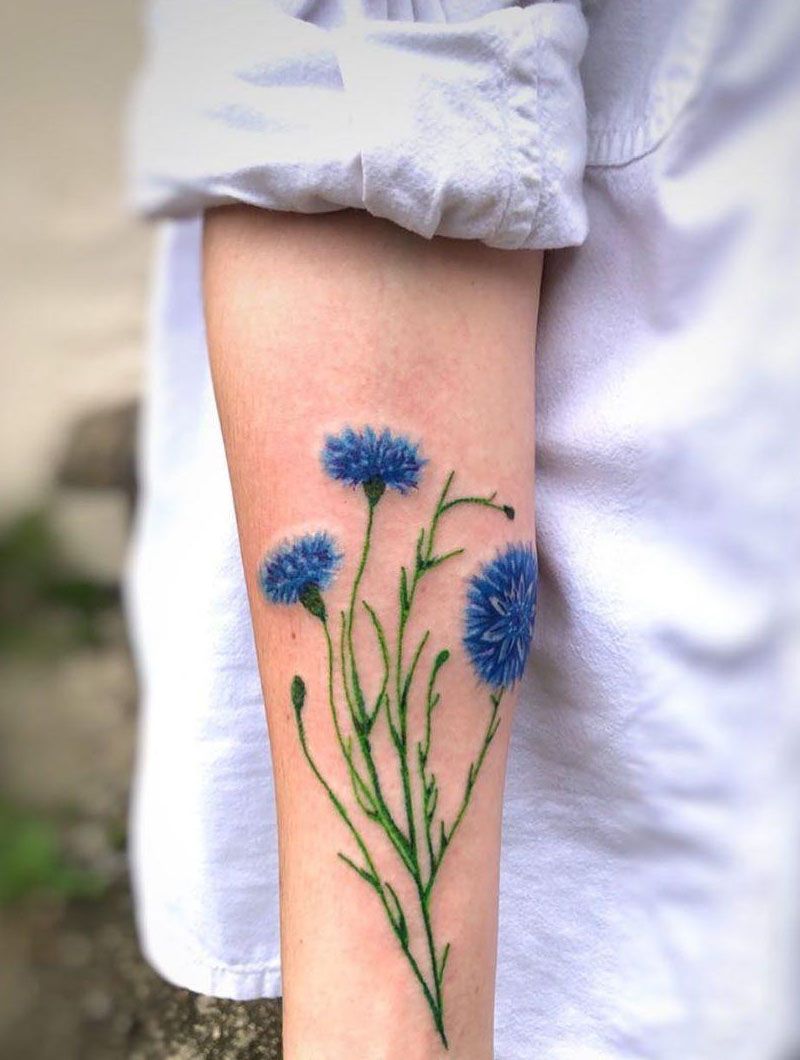 30 Pretty Cornflower Tattoos to Inspire You