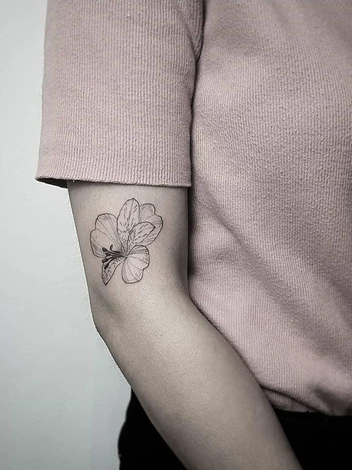 30 Pretty Alstroemeria Tattoos Show Your Temperament