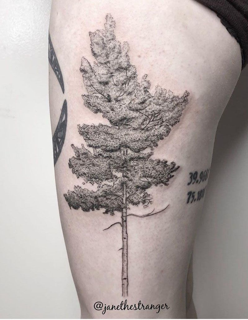 30 Pretty Aspen Tattoos for Inspiration