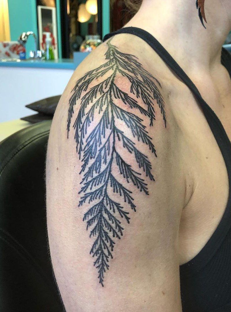 30 Pretty Cedar Tattoos You Will Love