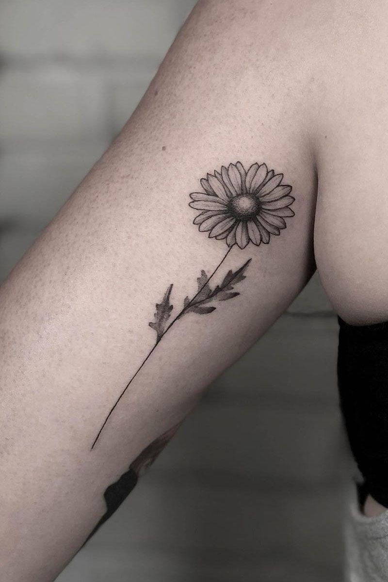 30 Pretty Chamomile Tattoos You Shouldn't Miss