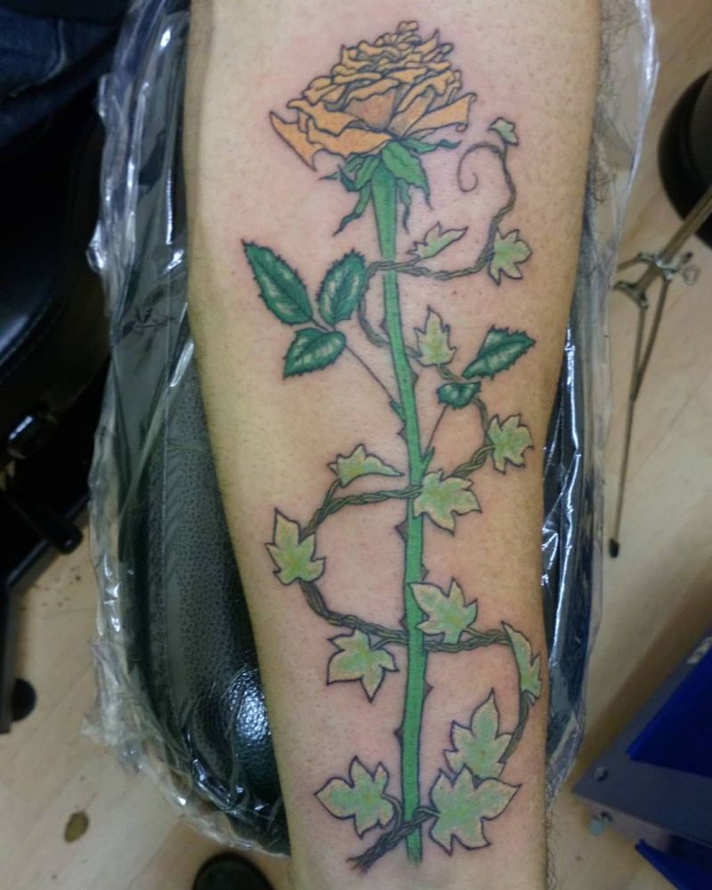 30 Pretty Ivy Tattoos Improve Your Temperament