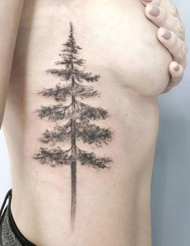 30 Pretty Fir Tree Tattoos You Will Love