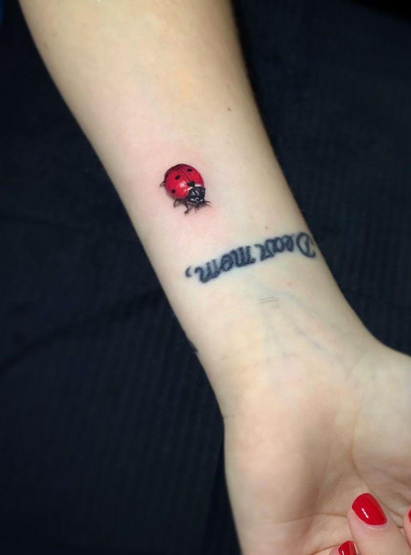 30 Pretty Ladybug Tattoos to Inspire You