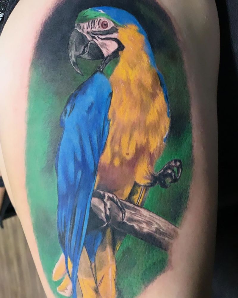30 Pretty Macaw Tattoos Bring You Happiness