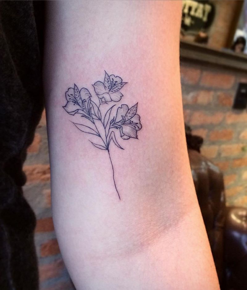 30 Pretty Alstroemeria Tattoos Show Your Temperament