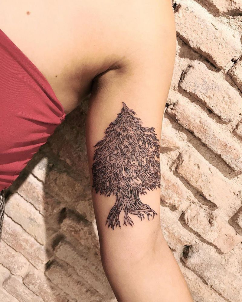 30 Pretty Cedar Tattoos You Will Love