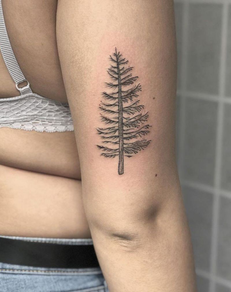 30 Pretty Fir Tree Tattoos You Will Love