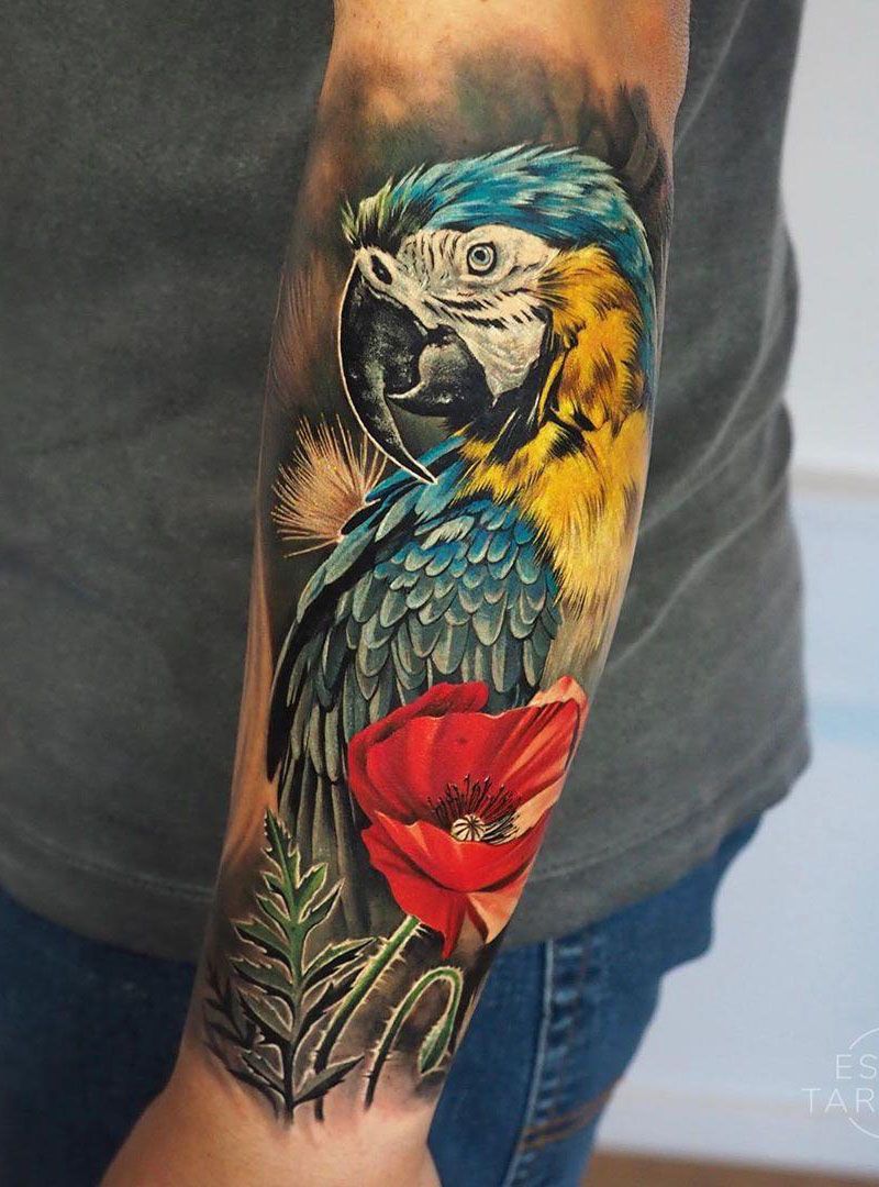 30 Pretty Macaw Tattoos Bring You Happiness