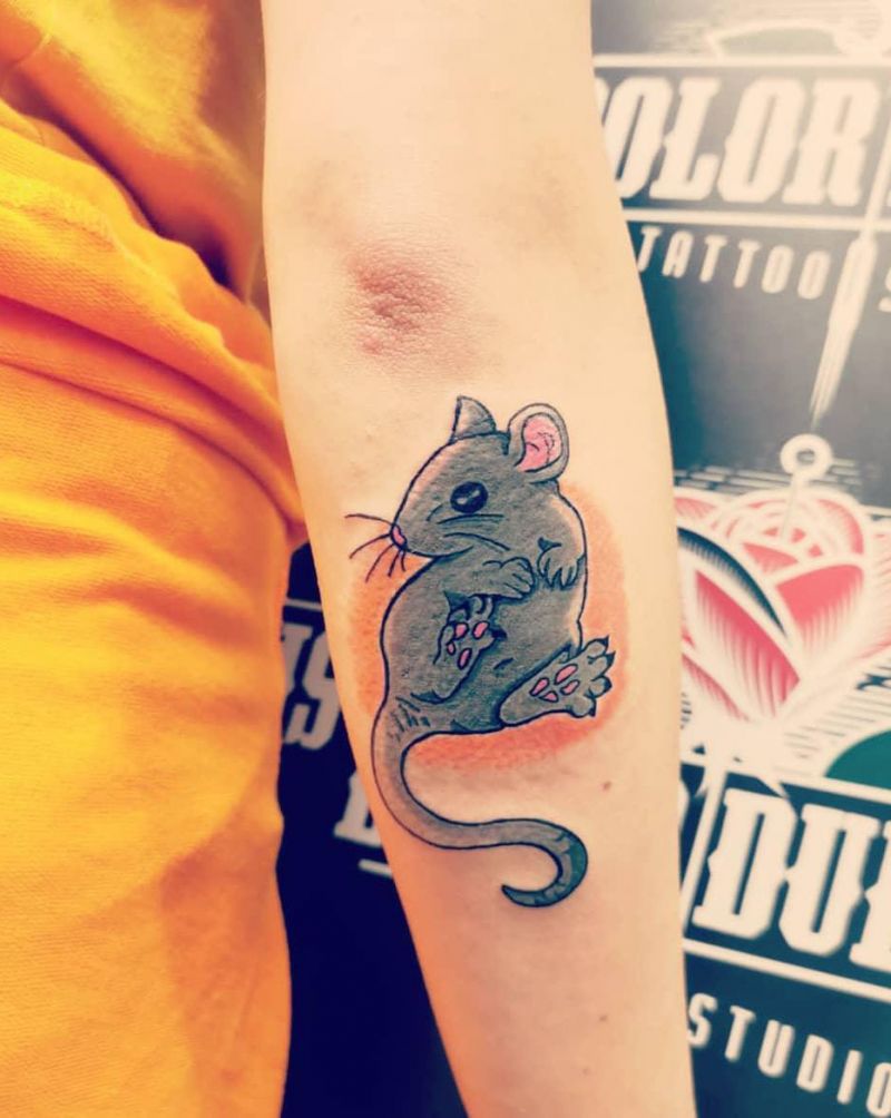 30 Pretty Rat Tattoos You Will Love