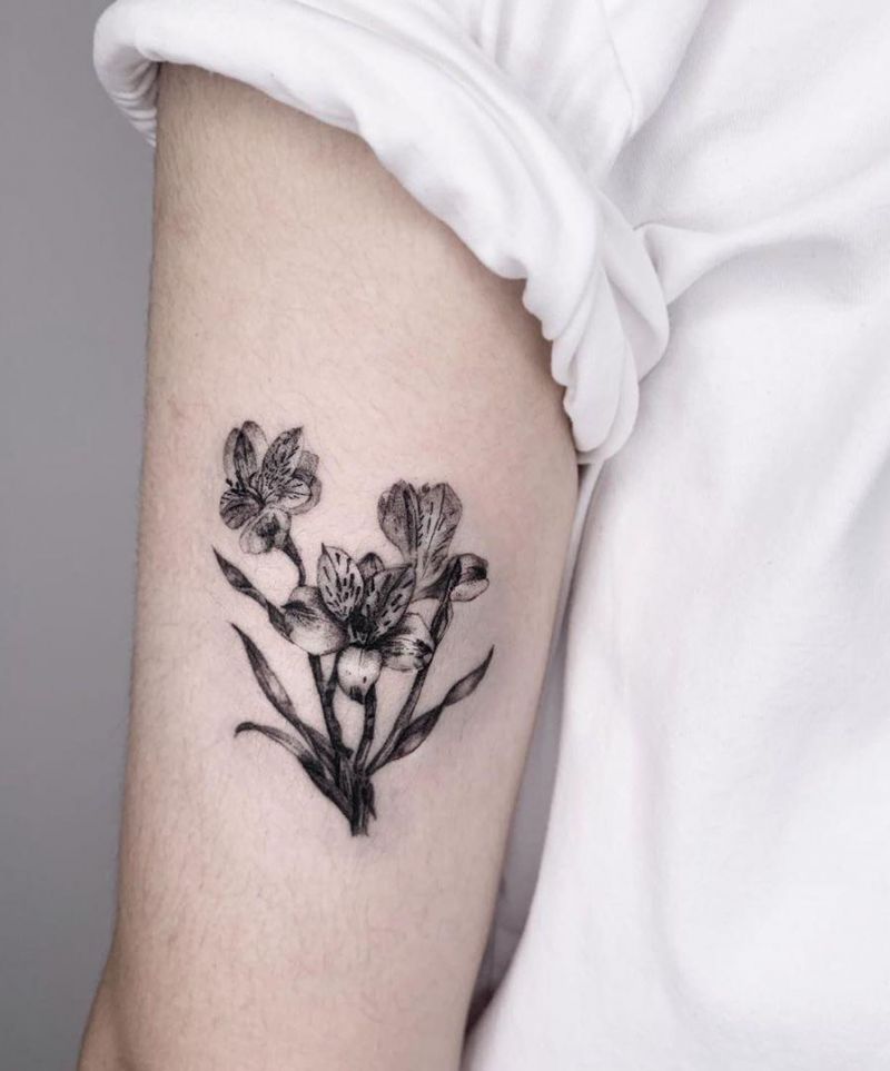 30 Pretty Alstroemeria Tattoos Show Your Temperament