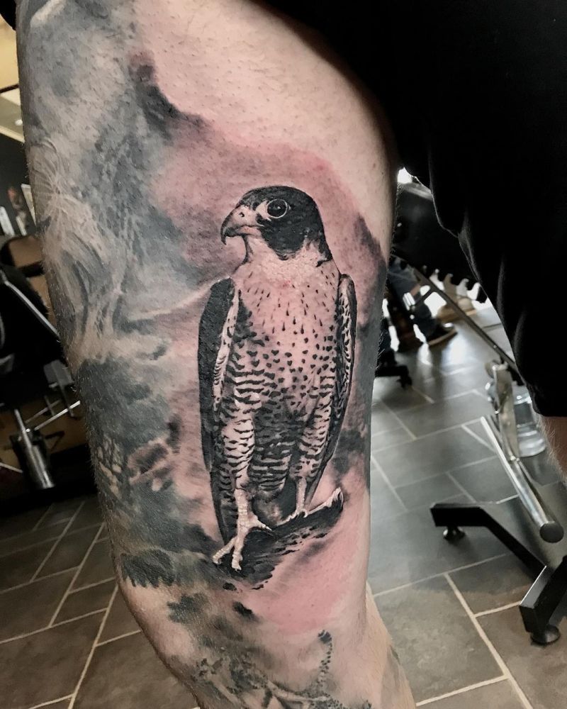 30 Pretty Falcon Tattoos Make You Elegant